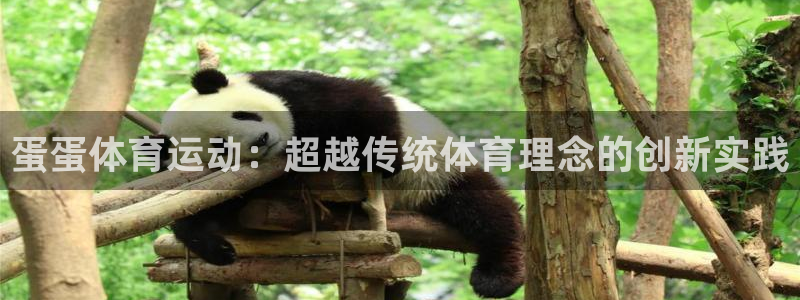 嗨王体育赛事直播平台：蛋蛋体育运动：超越传统体育理念的创新实践
