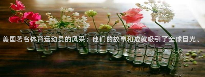 嗨王体育手机：美国著名体育运动员的风采：他们的故事和成就吸引了全球目光。