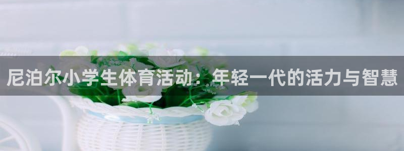 嗨王体育APP下载安装：尼泊尔小学生体育活动：年轻一代的活力与智慧