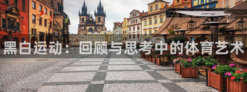 嗨王体育如何下载：黑白运动：回顾与思考中的体育艺术