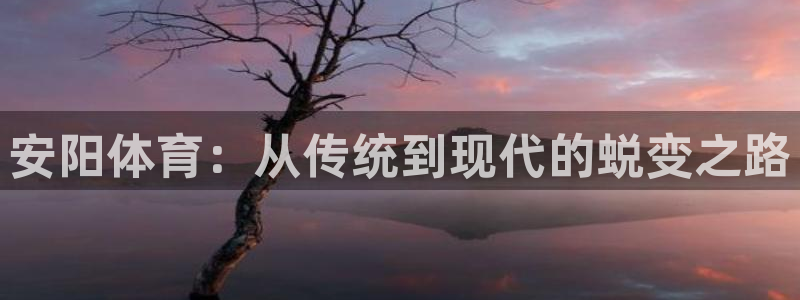 嗨王体育怎么打不开了：安阳体育：从传统到现代的蜕变之路
