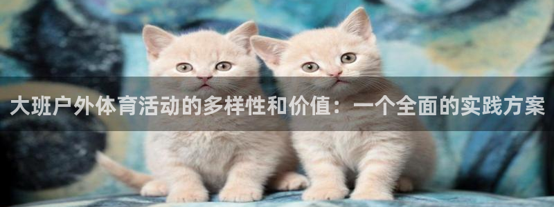嗨王体育nba免费观看：大班户外体育活动的多样性和价值：一个全面的实践方案
