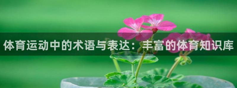 嗨王体育赛事在线直播免费观看高清：体育运动中的术语与表达：丰富的体育知识库