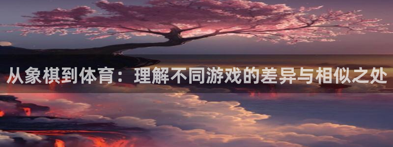 嗨王体育app官方网站：从象棋到体育：理解不同游戏的差异与相似之处
