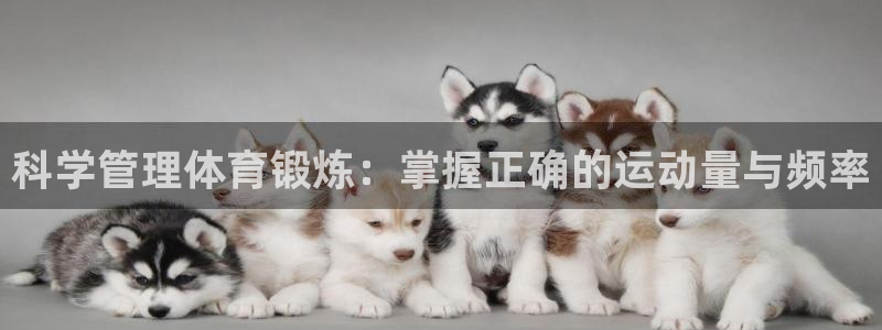 嗨王体育：科学管理体育锻炼：掌握正确的运动量与频率