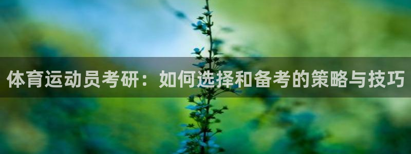 嗨王体育nba免费下载：体育运动员考研：如何选择和备考的策略与技巧
